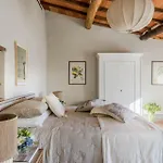 Uva Lucca