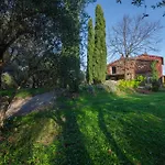 Uva * Lucca