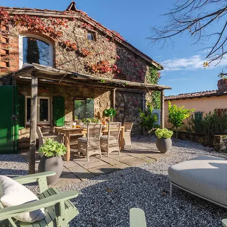 Uva Lucca