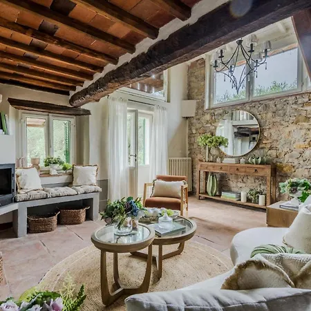 Uva Villa Lucca